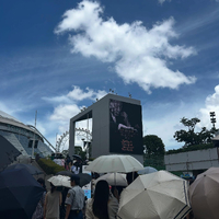 画像251