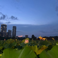 画像264