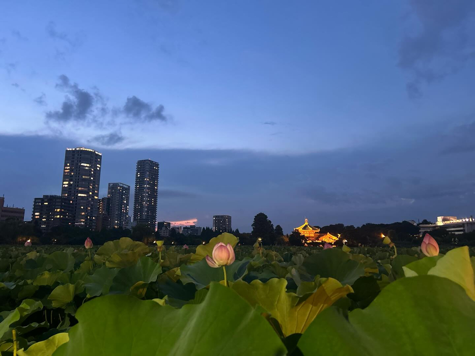 画像264