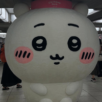 画像268