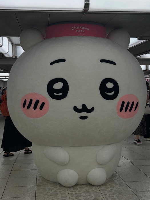 画像268
