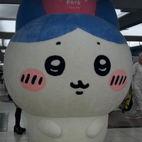画像269