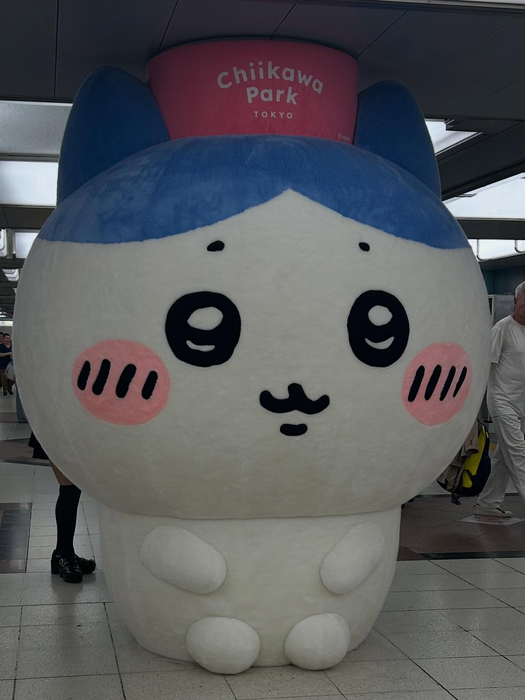 画像269