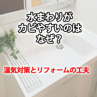 画像294
