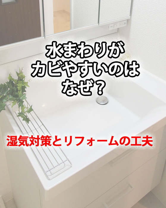 画像294