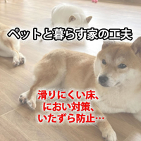 画像339
