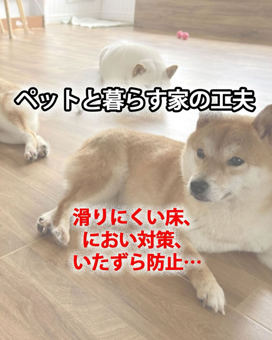 画像339